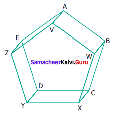 Samacheer Kalvi 6th Maths Term 1 Chapter 4 Geometry Ex 4.4 Q2