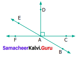 Samacheer Kalvi 6th Maths Term 1 Chapter 4 Geometry Ex 4.4 Q8