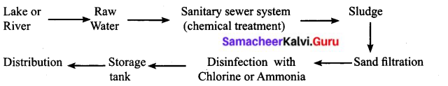Samacheer Kalvi 6th Science Solutions Term 3 Chapter 2 Water 11
