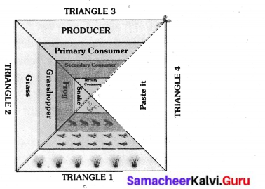 Samacheer Kalvi 6th Science Solutions Term 3 Chapter 4 Our Environment 5