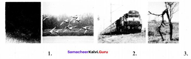Samacheer Kalvi 7th Tamil Solutions Term 3 Chapter 3.5 ஆகுபெயர் - 9