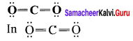 Samacheer Kalvi 11th Chemistry Solutions Chapter 10 Chemical Bonding-100