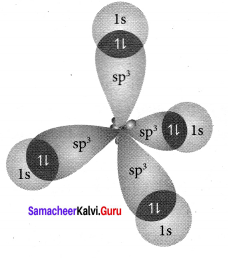 Samacheer Kalvi 11th Chemistry Solutions Chapter 10 Chemical Bonding-176