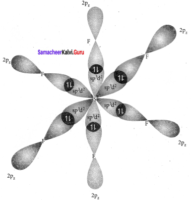 Samacheer Kalvi 11th Chemistry Solutions Chapter 10 Chemical Bonding-182