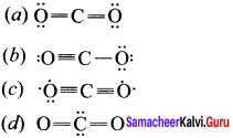 Samacheer Kalvi 11th Chemistry Solutions Chapter 10 Chemical Bonding-71