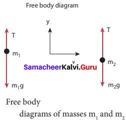 Samacheer Kalvi Class 11 Physics Solutions 