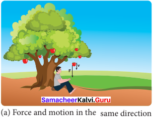 Samacheer Kalvi.Guru 11th Physics