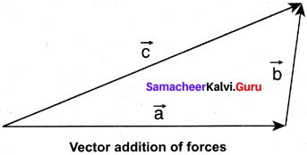 Samacheer Kalvi 11 Physics Solutions