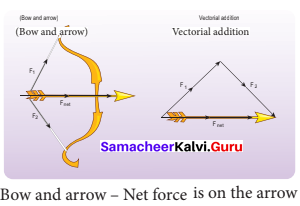 Samacheer Kalvi 11th Physics Solution
