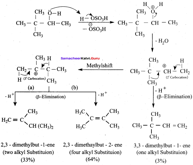 Samacheer Kalvi 12th Chemistry Solutions Chapter 11 Hydroxy Compounds and Ethers-199