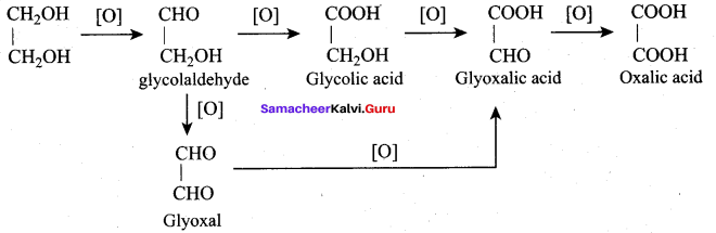 Samacheer Kalvi 12th Chemistry Solutions Chapter 11 Hydroxy Compounds and Ethers-205