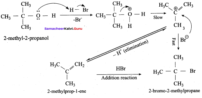 Samacheer Kalvi 12th Chemistry Solutions Chapter 11 Hydroxy Compounds and Ethers-197