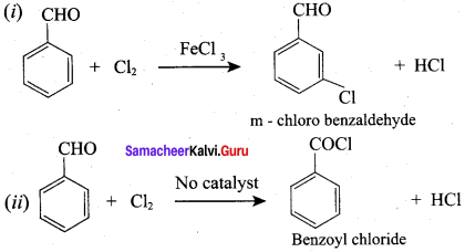 Samacheer Kalvi 12th Chemistry Solutions Chapter 12 Carbonyl Compounds and Carboxylic Acids-226