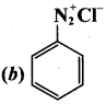Samacheer Kalvi 12th Chemistry Solutions Chapter 13 Organic Nitrogen Compounds-222