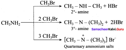 Samacheer Kalvi 12th Chemistry Solutions Chapter 13 Organic Nitrogen Compounds-135