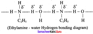 Samacheer Kalvi 12th Chemistry Solutions Chapter 13 Organic Nitrogen Compounds-64