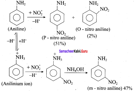 Samacheer Kalvi 12th Chemistry Solutions Chapter 13 Organic Nitrogen Compounds-66