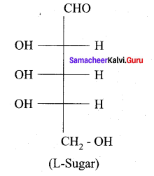 Samacheer Kalvi 12th Chemistry Solutions Chapter 14 Biomolecules-11