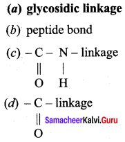 Samacheer Kalvi 12th Chemistry Solutions Chapter 14 Biomolecules-14
