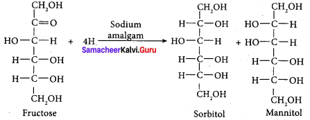 Samacheer Kalvi 12th Chemistry Solutions Chapter 14 Biomolecules-68