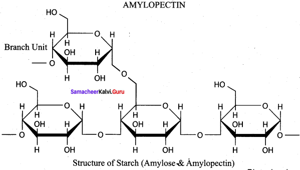 Samacheer Kalvi 12th Chemistry Solutions Chapter 14 Biomolecules-73