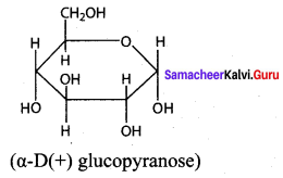 Samacheer Kalvi 12th Chemistry Solutions Chapter 14 Biomolecules-9
