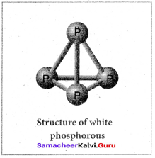 Samacheer Kalvi 12th Chemistry Solutions Chapter 3 p-Block Elements - II img-17