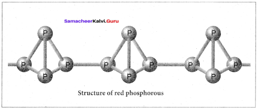 Samacheer Kalvi 12th Chemistry Solutions Chapter 3 p-Block Elements - II img-18