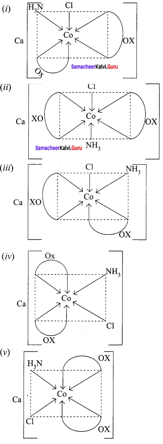 Samacheer Kalvi 12th Chemistry Solutions Chapter 5 Coordination Chemistry-29