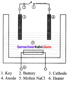 Samacheer Kalvi 12th Chemistry Solutions Chapter 9 Electro Chemistry-10