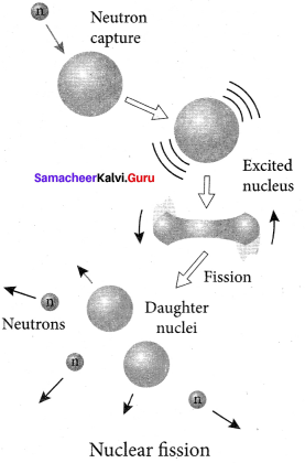 Samacheer Kalvi 12th Physics Solutions Chapter 8 Atomic and Nuclear Physics-19
