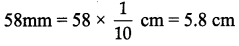 Samacheer Kalvi 7th Maths Solutions Term 1 Chapter 5 Geometry Ex 5.3 55