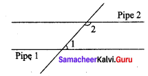 Samacheer Kalvi 7th Maths Solutions Term 1 Chapter 5 Geometry Ex 5.6 55