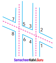 Samacheer Kalvi 7th Maths Solutions Term 1 Chapter 5 Geometry Ex 5.6 79