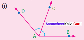 Samacheer Kalvi 7th Maths Solutions Term 1 Chapter 5 Geometry Intext Questions 91