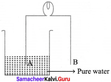 Samacheer Kalvi 8th Science Solutions Term 2 Chapter 2 Electricity 11