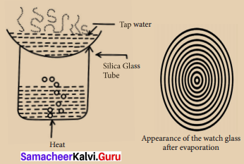 Samacheer Kalvi 8th Science Solutions Term 3 Chapter 4 Water