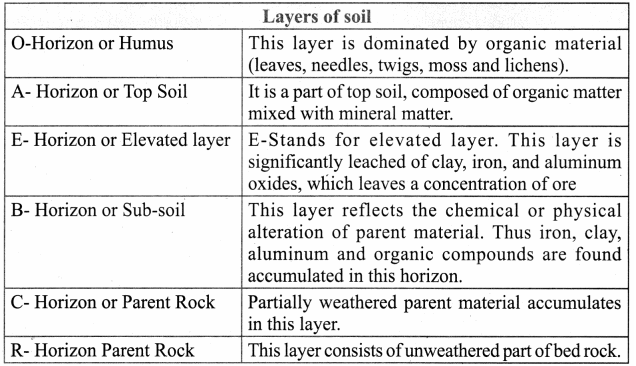 Samacheer Kalvi 8th Social Science Geography Term 1 Solutions Chapter 1 Rock and Soil 7