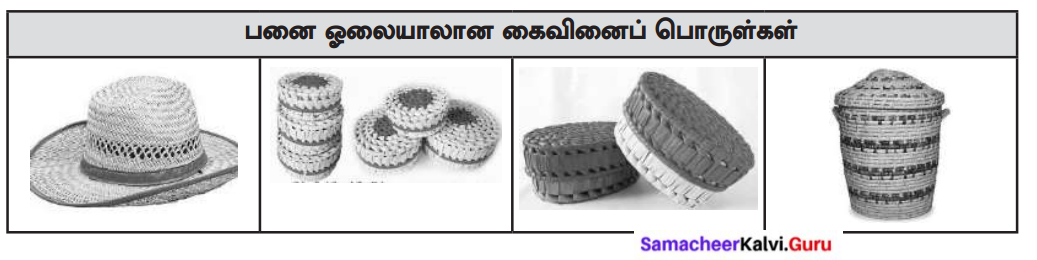 Samacheer Kalvi 8th Tamil Solutions Chapter 5.3 நாட்டுப்புறக் கைவினைக் கலைகள் 2