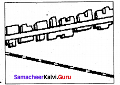 Samacheer Kalvi Guru 9th Social Science Chapter 6 Man and Environment