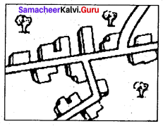 Samacheer Kalvi 9th Social Science Chapter 6 Man and Environment