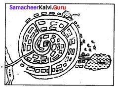 9th Samacheer Kalvi Social Chapter 6 Man and Environment
