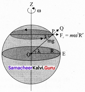 Tamil Nadu 11th Physics Model Question Paper 2 English Medium 14