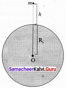 Tamil Nadu 11th Physics Model Question Paper 2 English Medium 17