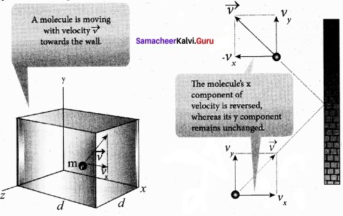 Tamil Nadu 11th Physics Model Question Paper 4 English Medium 10