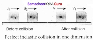 Tamil Nadu 11th Physics Model Question Paper 4 English Medium 7