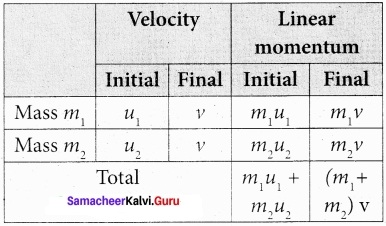 Tamil Nadu 11th Physics Model Question Paper 4 English Medium 8
