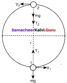 Tamil Nadu 11th Physics Model Question Paper 5 English Medium 18