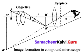 Samacheer Kalvi 10th Science Model Question Paper 2 English Medium image - 8