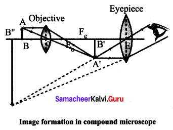 10th Science 2nd Lesson Samacheer Kalvi